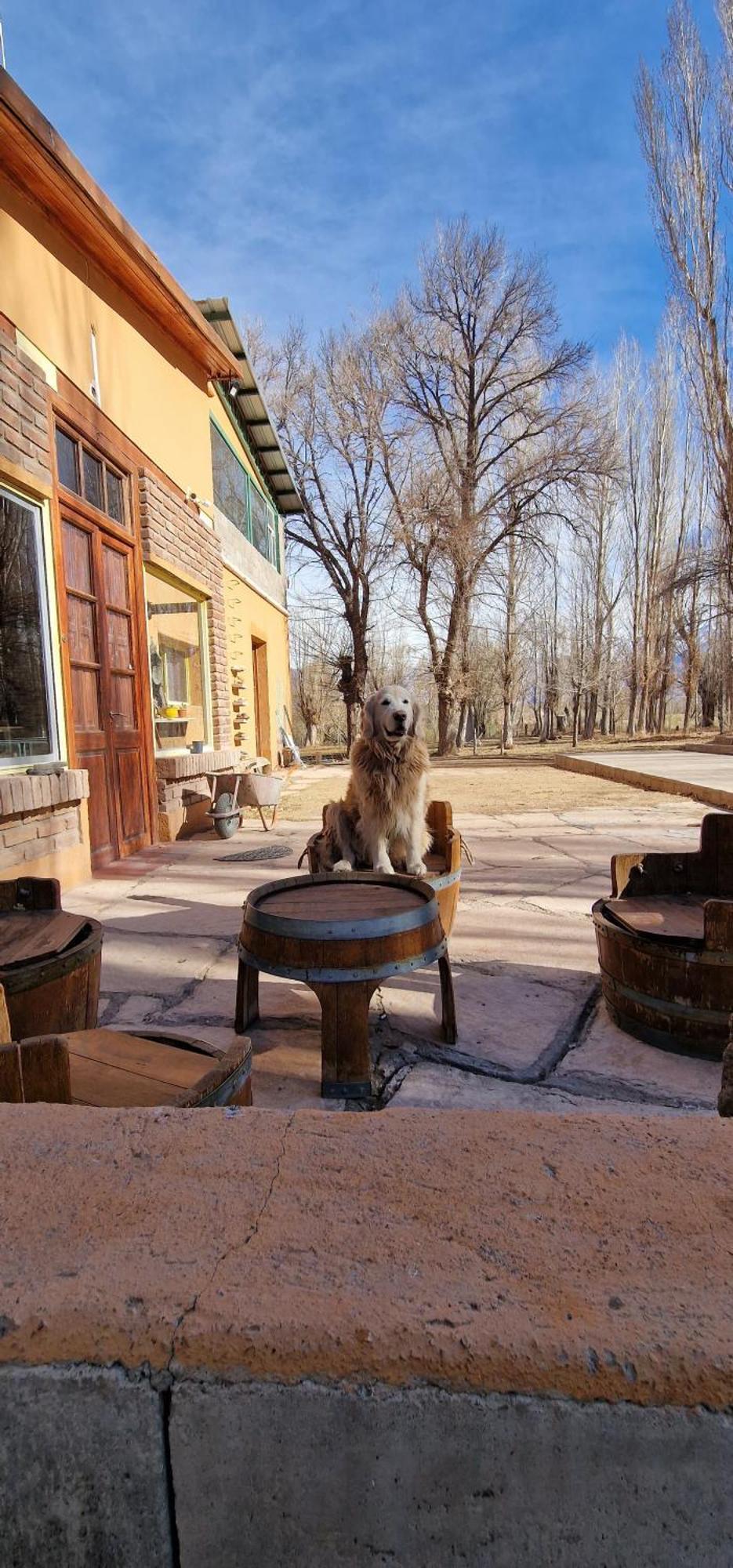 Hosteria Успальята Экстерьер фото